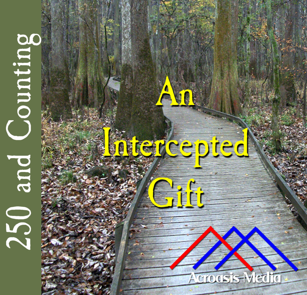 Cover art for October 29, 1775: A contemporary path through old growth forest in Congaree National Park.